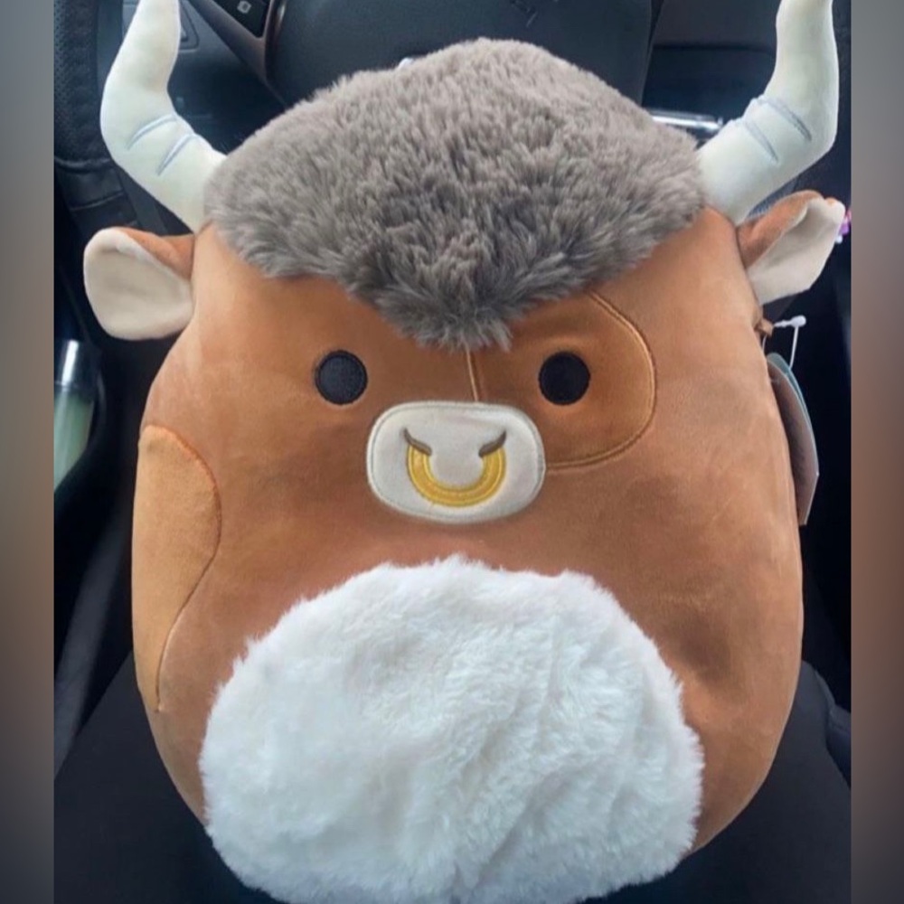 Shep 11 in Squishmallow with tags
